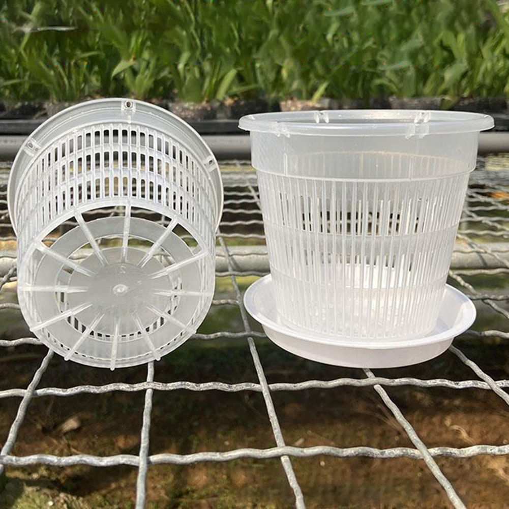Orchid Potting Mix - 5pcs Orchid Pot With Saucers Meshpot