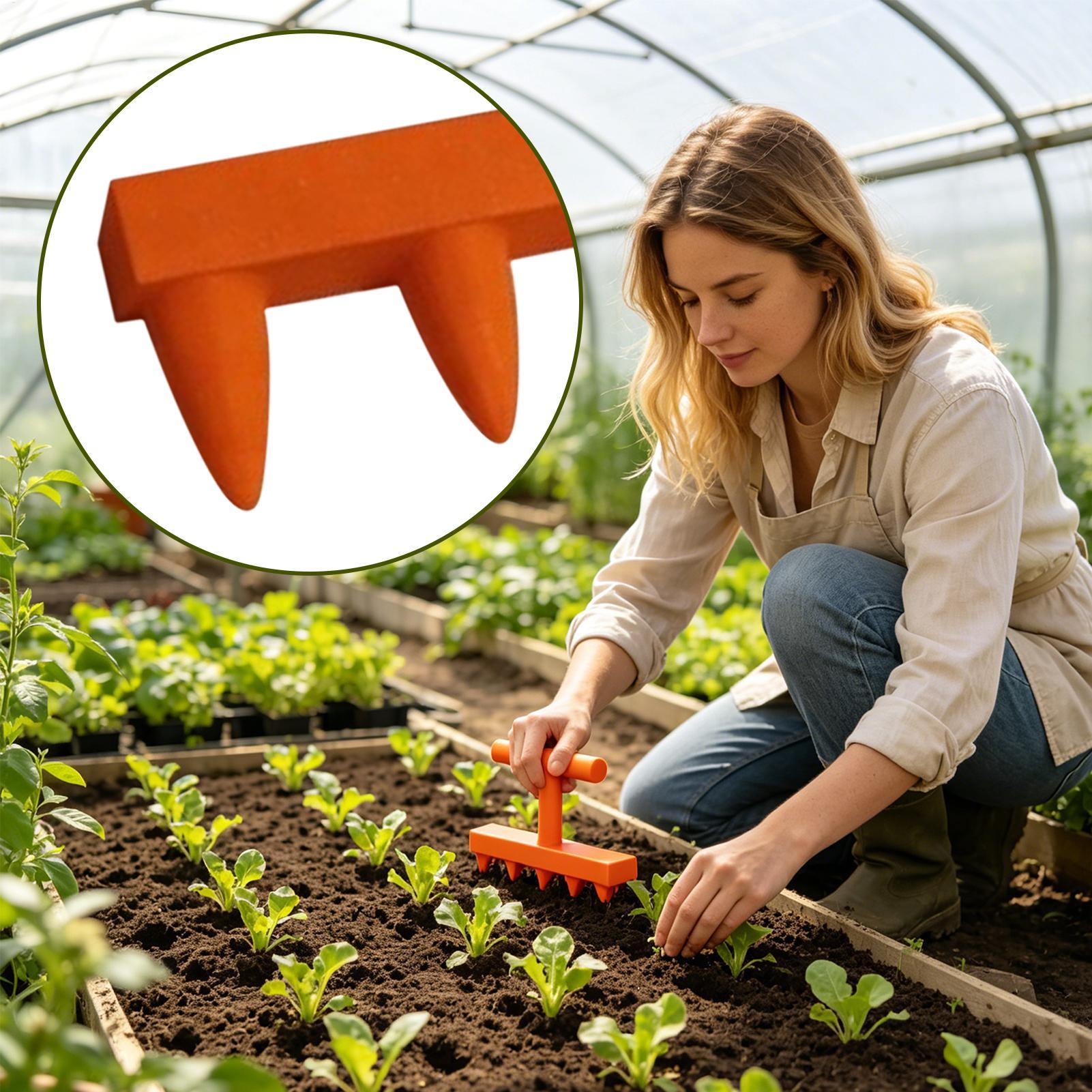 Gardening Tools For Elderly - Five-Tooth Seedling Dibbling Tool Hand Dibber