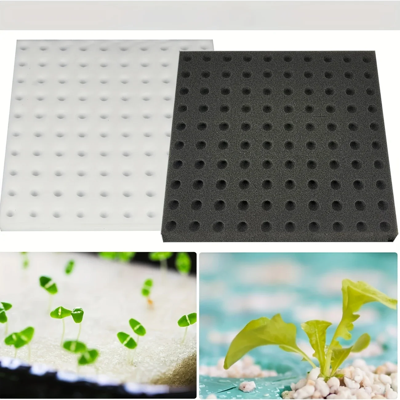 Greenhouse Sponge Vegetable Bu – Gardening Tools Wholesale Bewertung und Preis