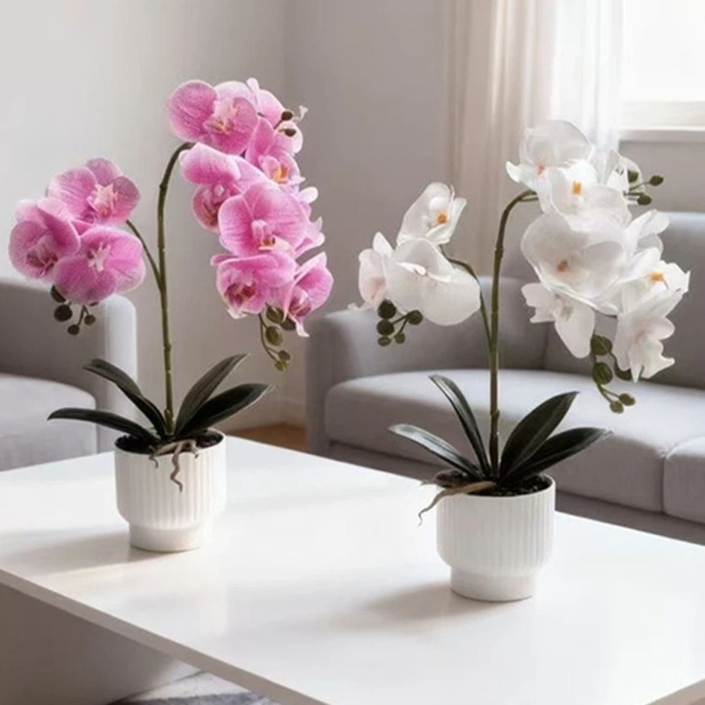 Multi-Bloom Simulated Butterfl – Orchid Potting Mix Bewertung und Preis