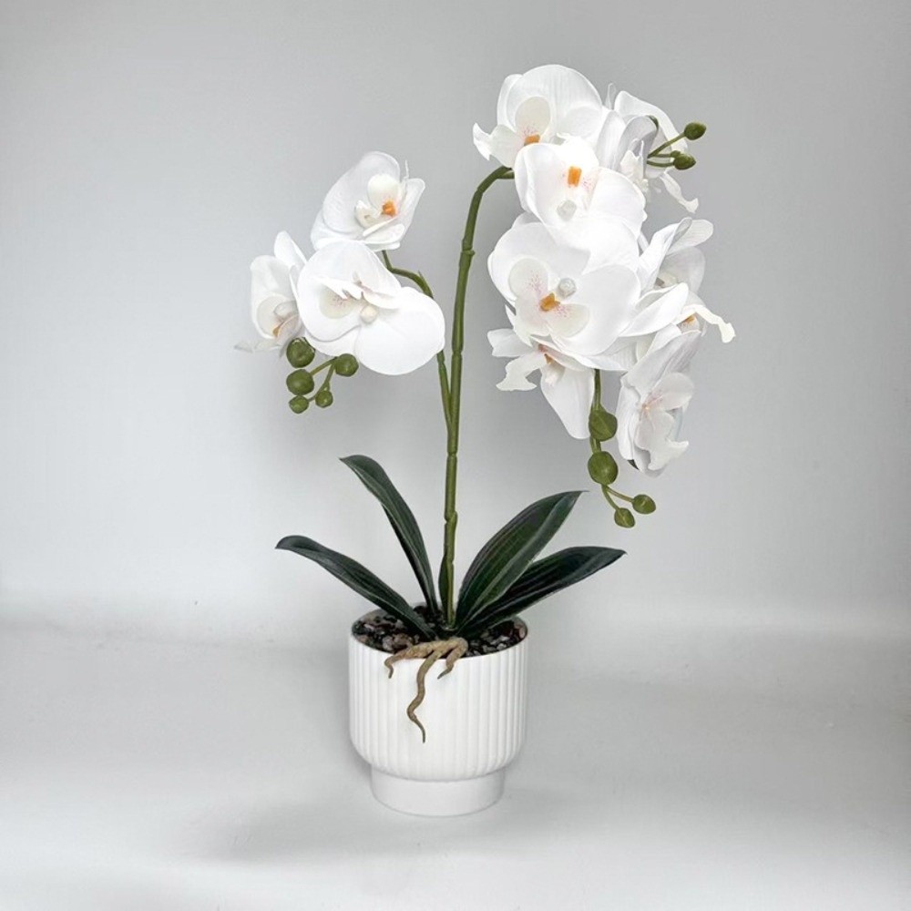 Multi-Bloom Simulated Butterfl – Orchid Potting Mix Bewertung und Preis