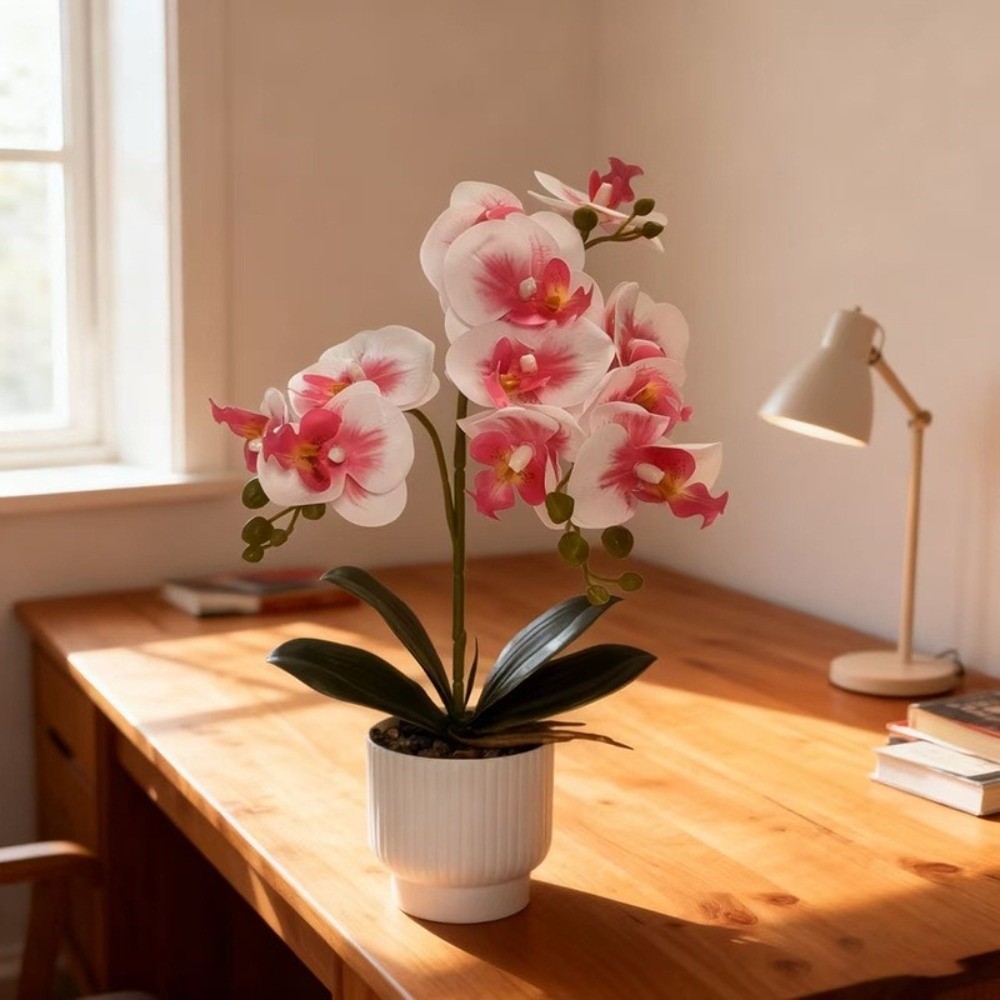 Multi-Bloom Simulated Butterfl – Orchid Potting Mix Bewertung und Preis