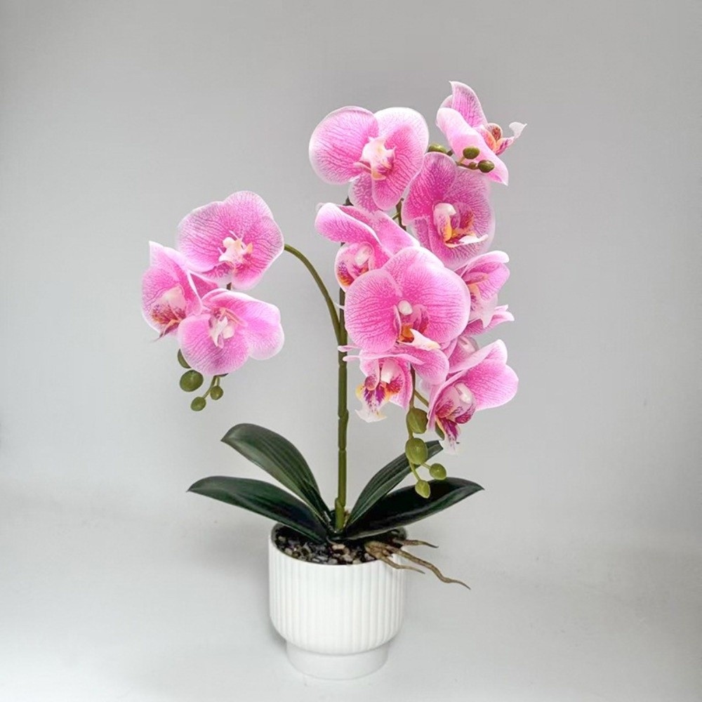 Multi-Bloom Simulated Butterfl – Orchid Potting Mix Bewertung und Preis
