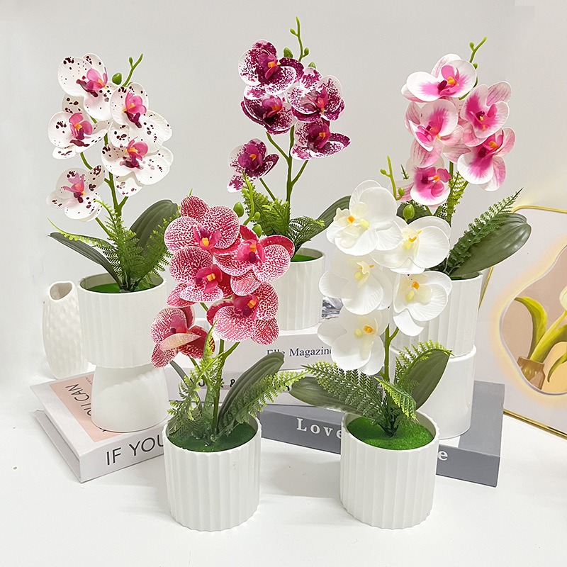 Vertical bar pot with 5 butter – Orchid Potting Mix Bewertung und Preis