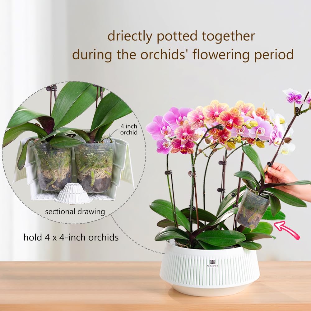 Orchid Pot with Holes & Saucer – Orchid Potting Mix Bewertung und Preis