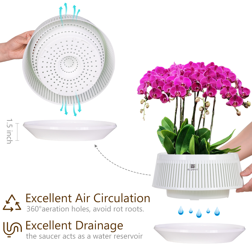 Orchid Pot with Holes & Saucer – Orchid Potting Mix Bewertung und Preis
