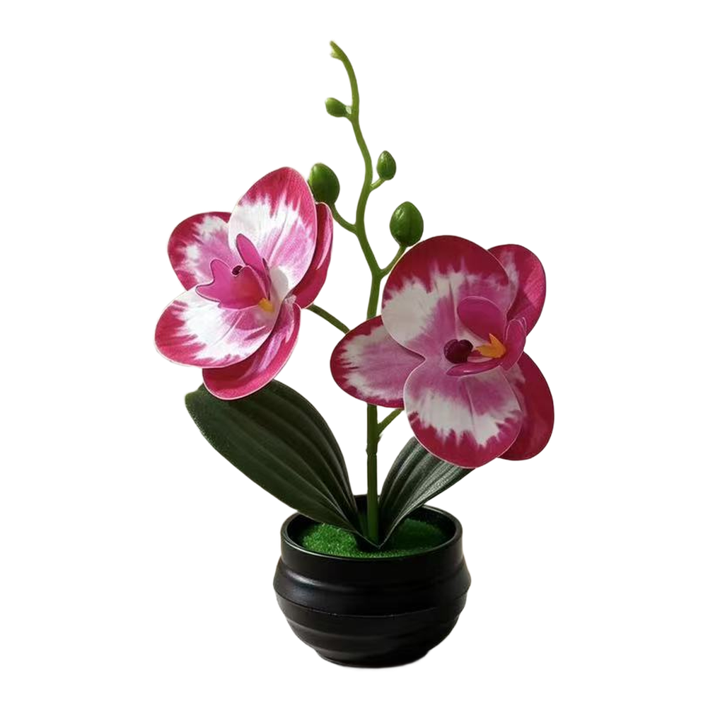 Artificial Orchid Plant with L – Orchid Potting Mix Bewertung und Preis