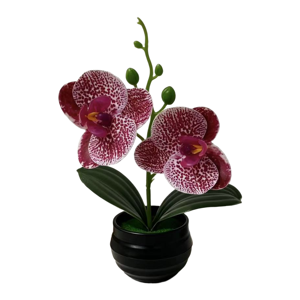 Artificial Orchid Plant with L – Orchid Potting Mix Bewertung und Preis