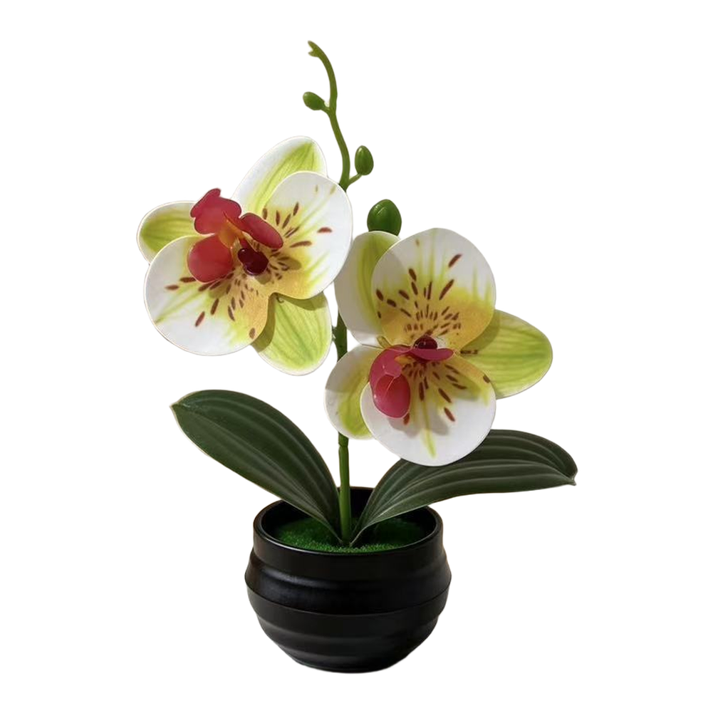 Artificial Orchid Plant with L – Orchid Potting Mix Bewertung und Preis