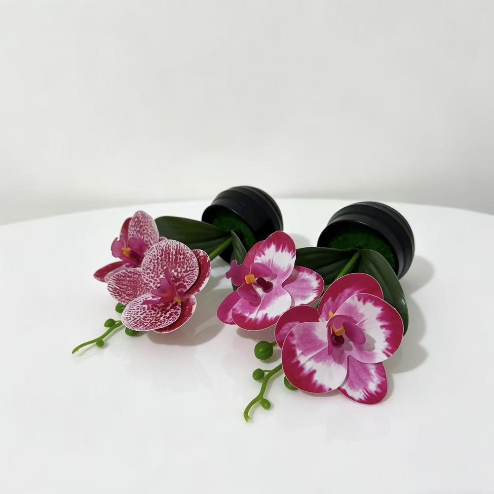 Artificial Orchid Plant with L – Orchid Potting Mix Bewertung und Preis