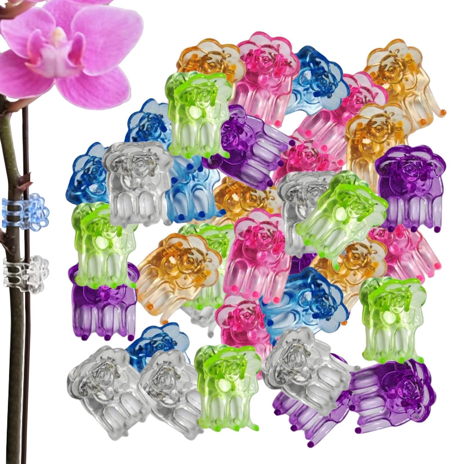 Orchid Clips 60 Pieces Butterf – Orchid Potting Mix Bewertung und Preis
