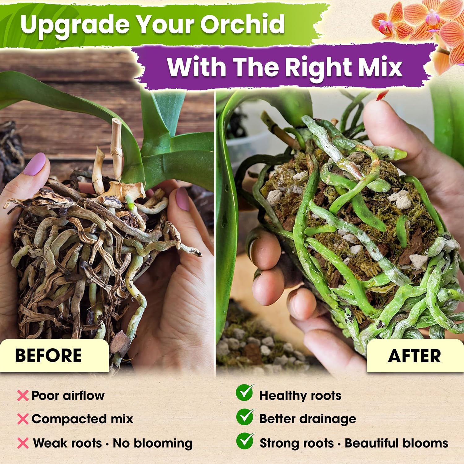 [Upgraded] Orchid Potting Mix  – Orchid Potting Mix Bewertung und Preis