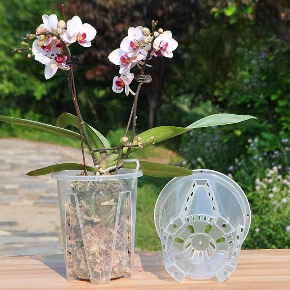 Plastic Root Control Transpare – Orchid Potting Mix Bewertung und Preis