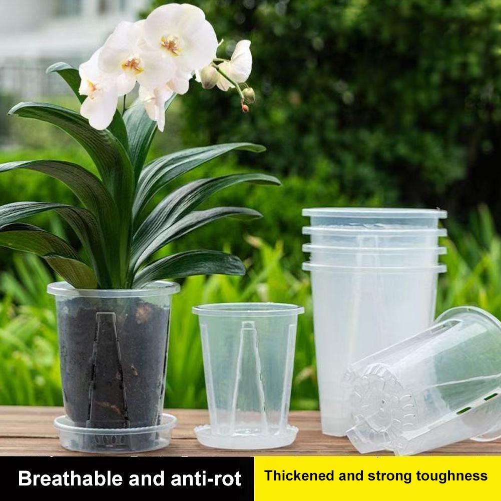 Plastic Root Control Transpare – Orchid Potting Mix Bewertung und Preis