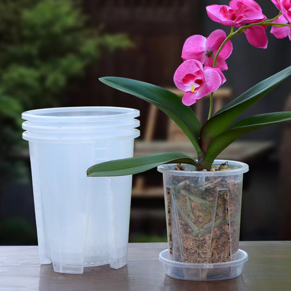 Plastic Root Control Transpare – Orchid Potting Mix Bewertung und Preis