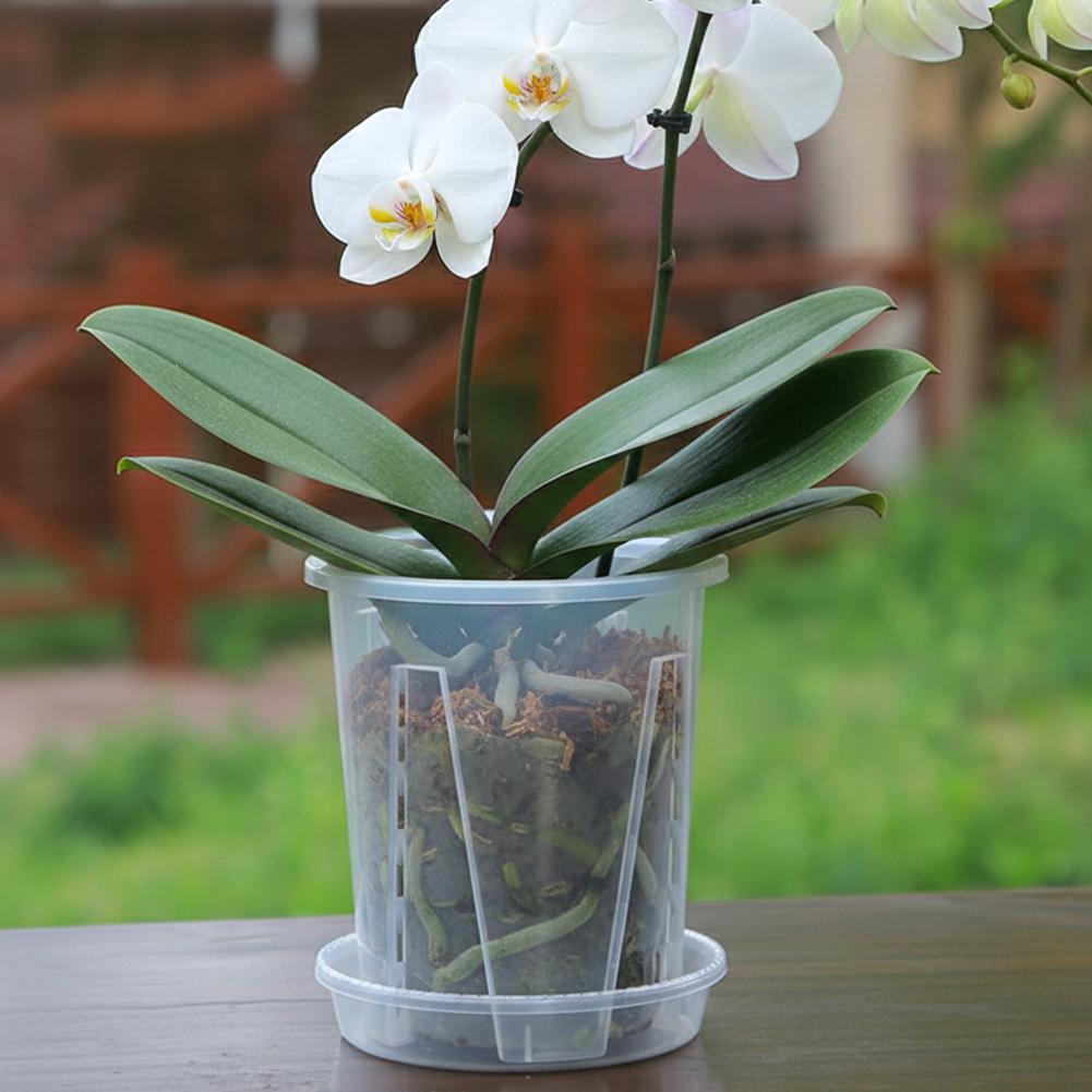 Plastic Root Control Transpare – Orchid Potting Mix Bewertung und Preis