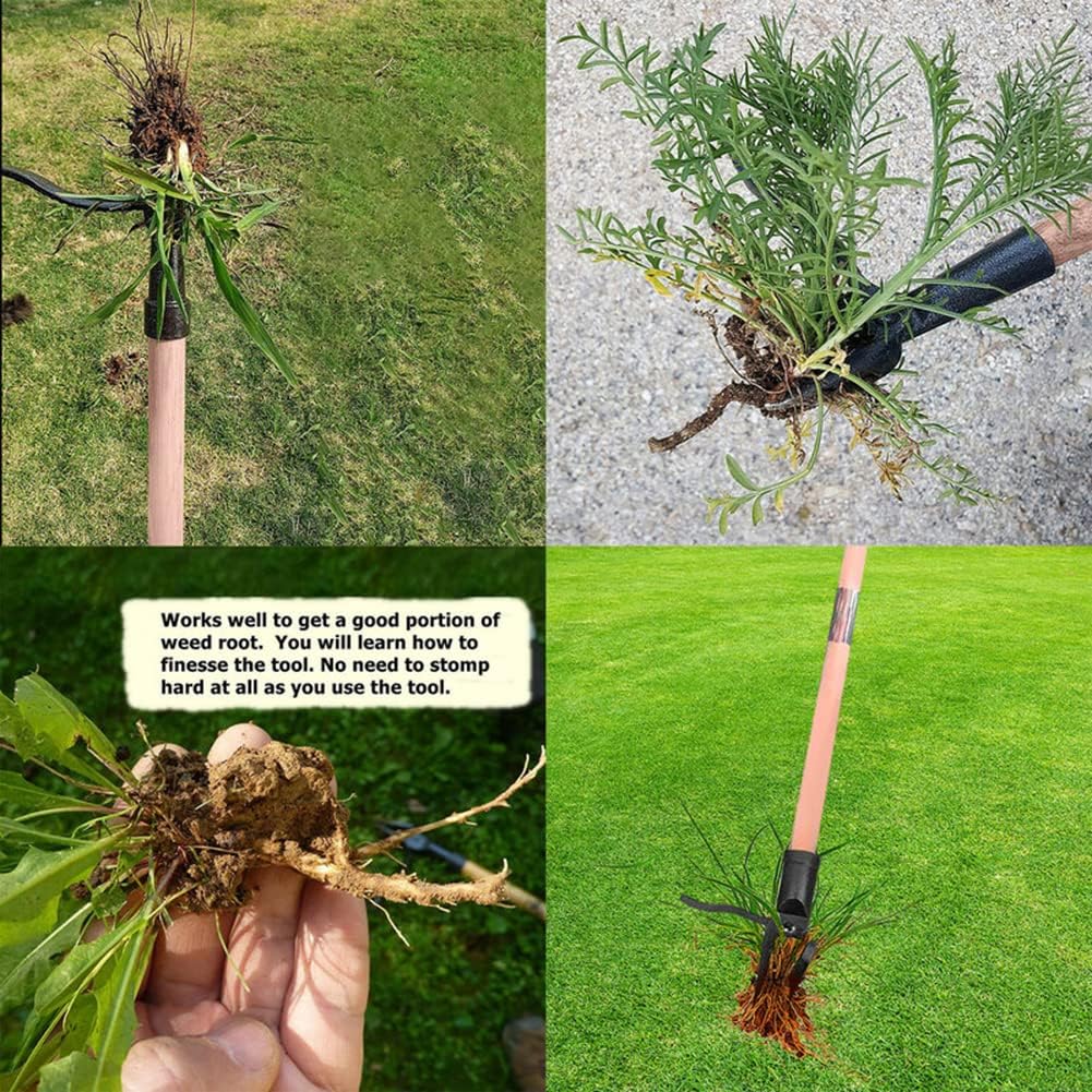 Stand Up Weed Puller Tool Deta – Gardening Tools To Remove Weeds Bewertung und Preis