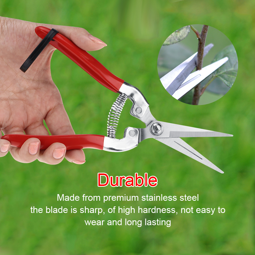 Sturdy Fruit Tree Bonsai Garde – Gardening Tools For Women Bewertung und Preis