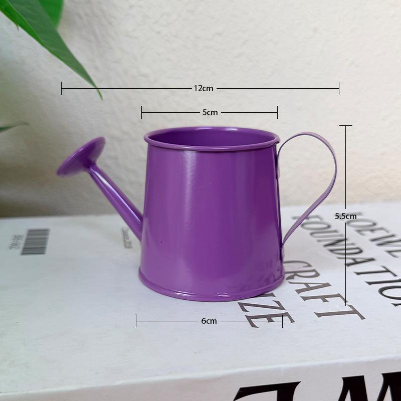 Mini Watering Can Metal Vintag – Gardening Tools Vintage Bewertung und Preis