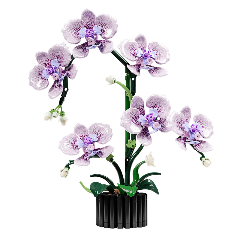 619PCS Phalaenopsis Building B – Orchid Potting Mix Bewertung und Preis