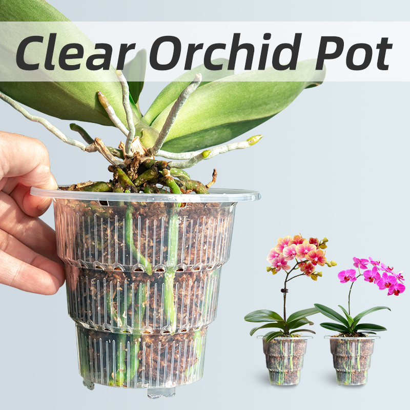 Meshpot Clear Plastic Orchid P – Orchid Potting Mix Bewertung und Preis