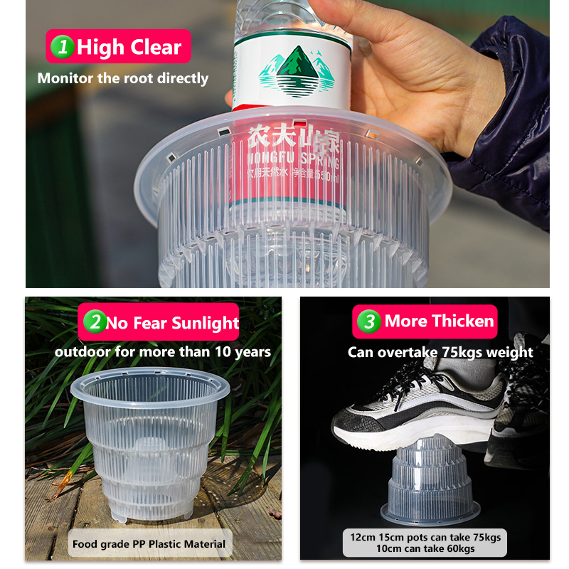 Meshpot Clear Plastic Orchid P – Orchid Potting Mix Bewertung und Preis
