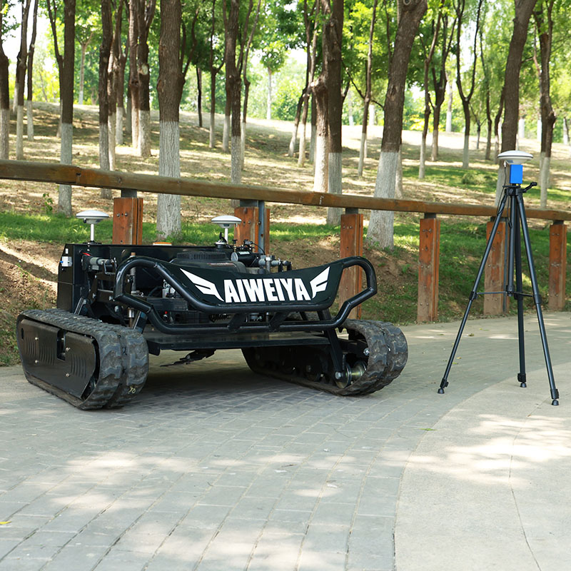 Customized RC Lawn Mower with  – Gardening Tools For Elderly Bewertung und Preis