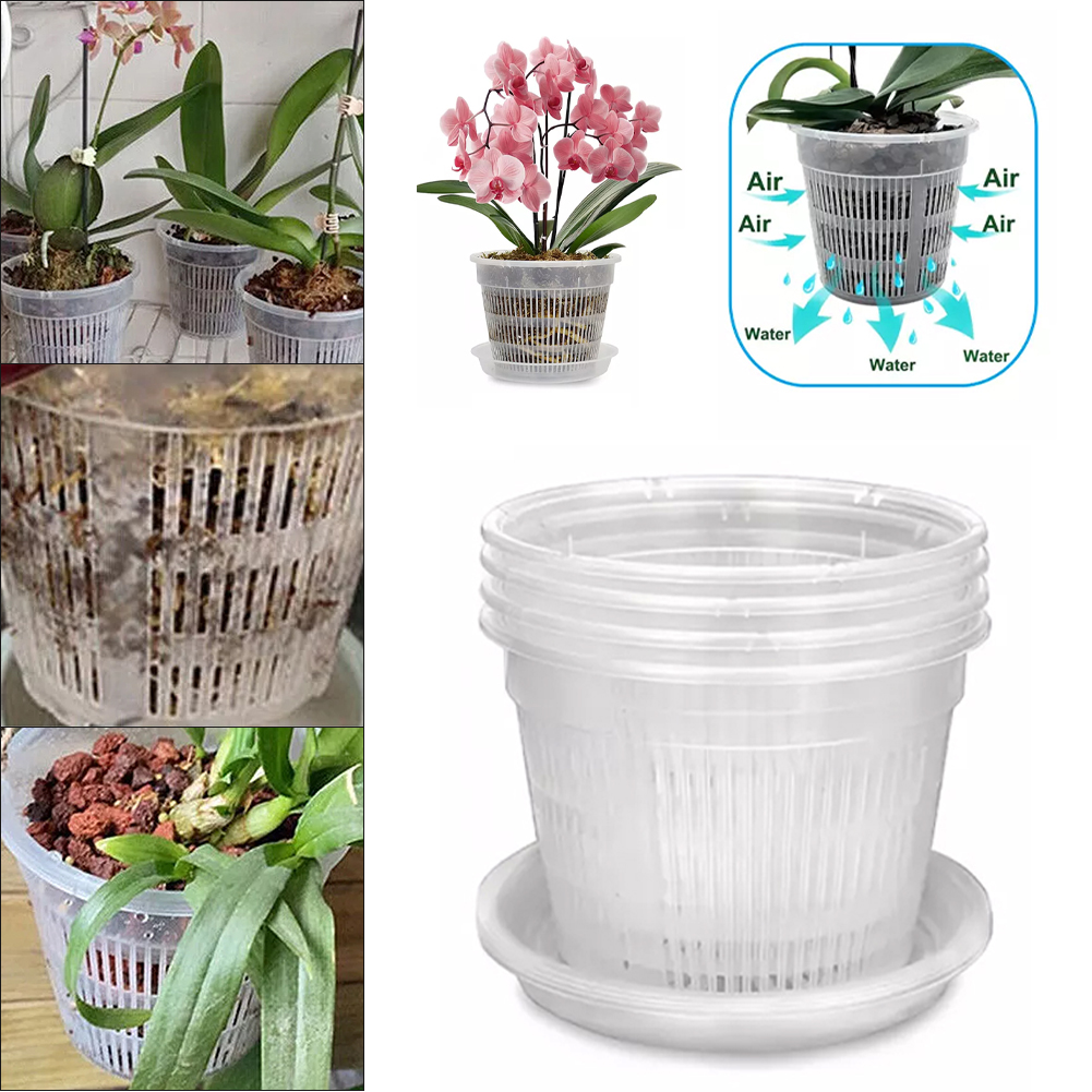5pcs Orchid Pot With Saucers M – Orchid Potting Mix Bewertung und Preis