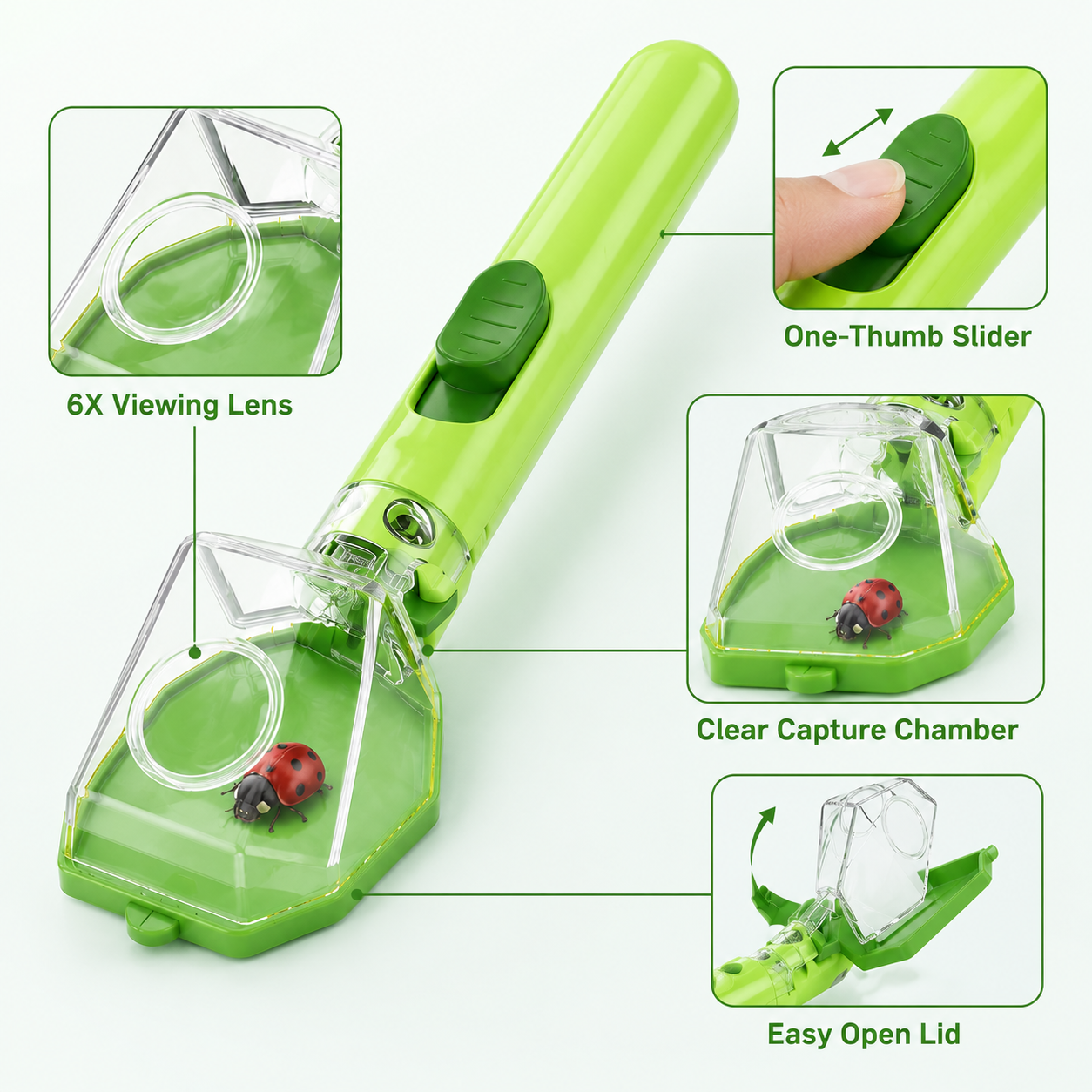 Kids Insect Catcher Box 6X Mag – Gardening Tools Kids Bewertung und Preis