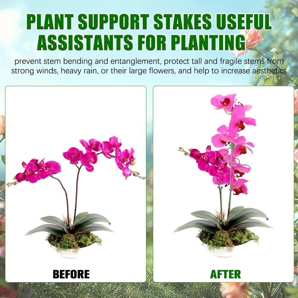 5/10PCS Plant Supports Stand B – Orchid Potting Mix Bewertung und Preis