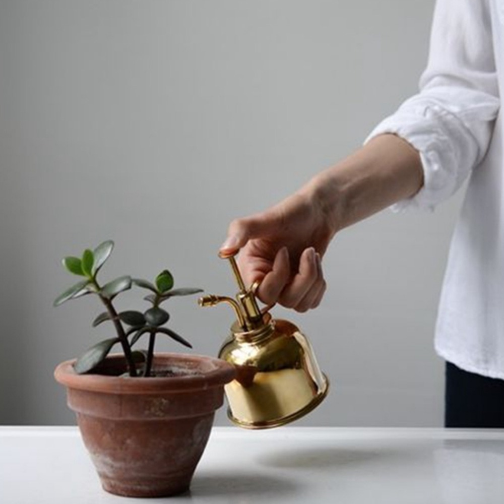 Brass Watering Can Spray Bottl – Gardening Tools Vintage Bewertung und Preis