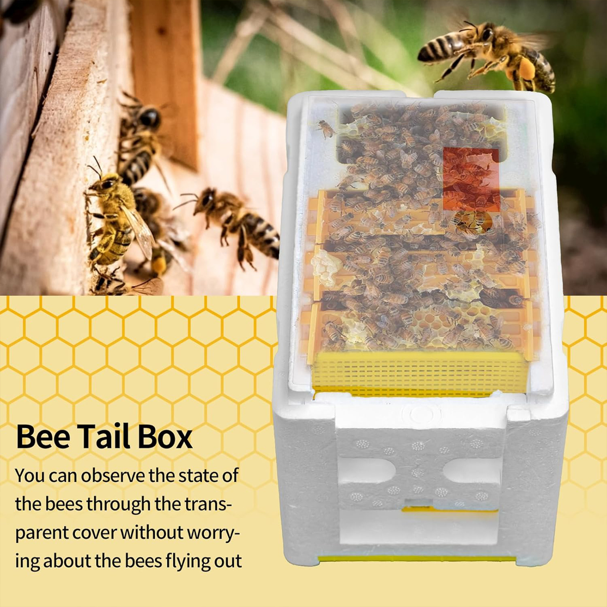 Queen Mating Box Breeding Beek – Gardening Tools Organiser Bewertung und Preis