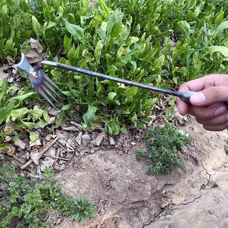Garden Weeders Grass Hand Weed – Gardening Tools To Remove Weeds Bewertung und Preis