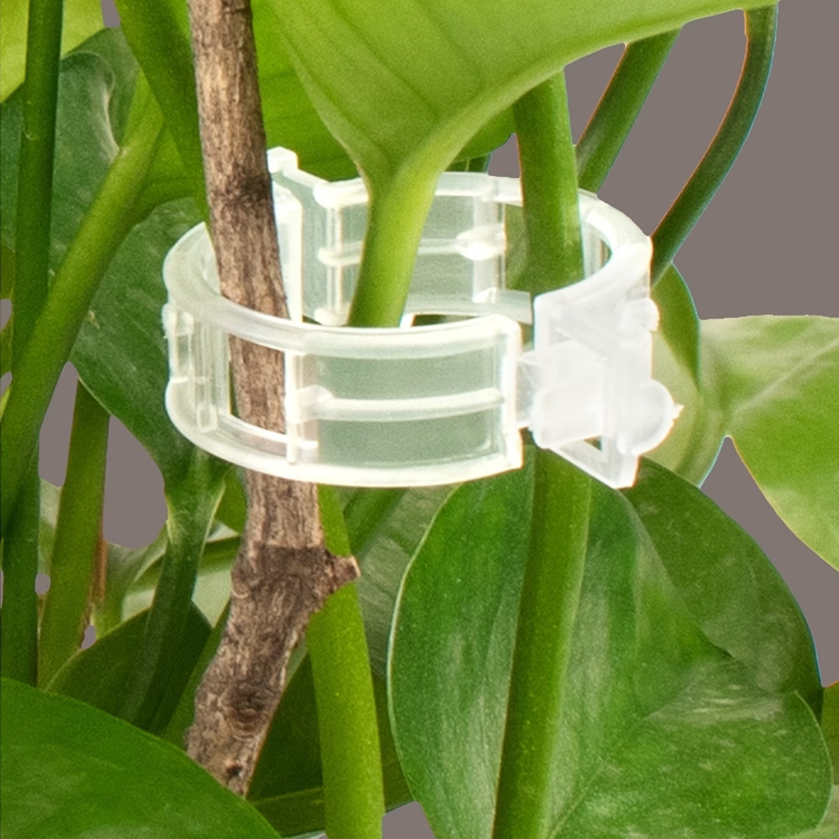 Wholesale Plant Support Clips  – Gardening Tools Wholesale Bewertung und Preis