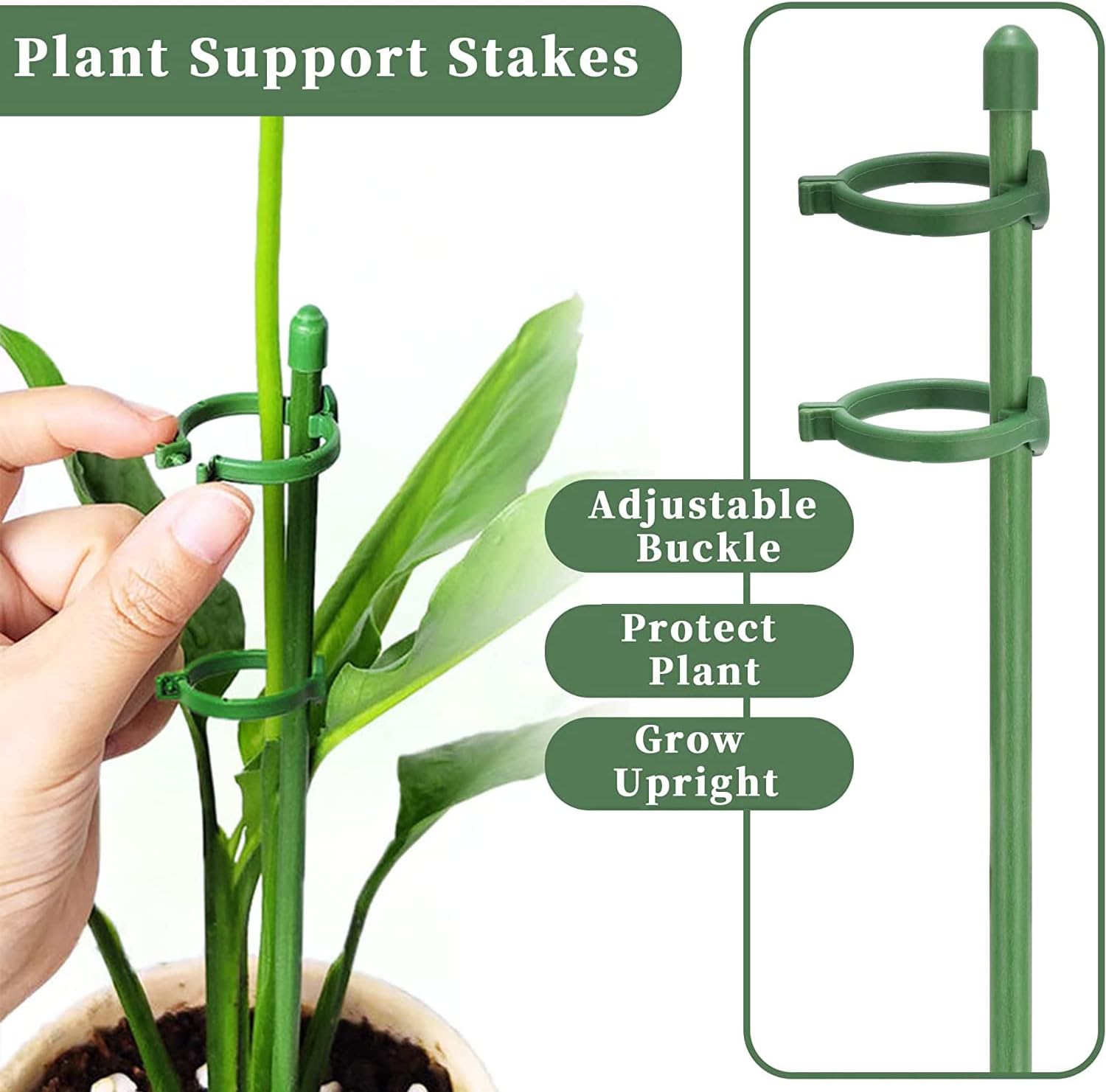 Plant Supports Rod Single Stem – Orchid Potting Mix Bewertung und Preis