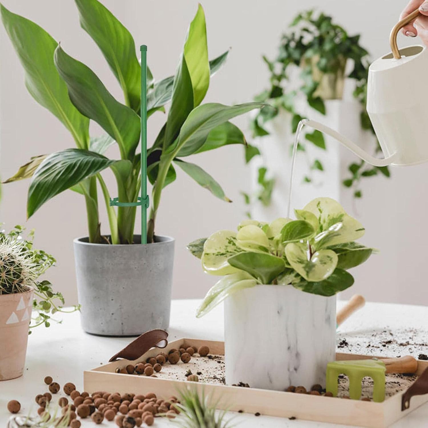 Plant Supports Rod Single Stem – Orchid Potting Mix Bewertung und Preis