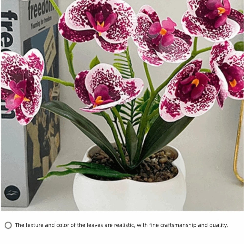 Multi-Bloom Simulated Butterfl – Orchid Potting Mix Bewertung und Preis