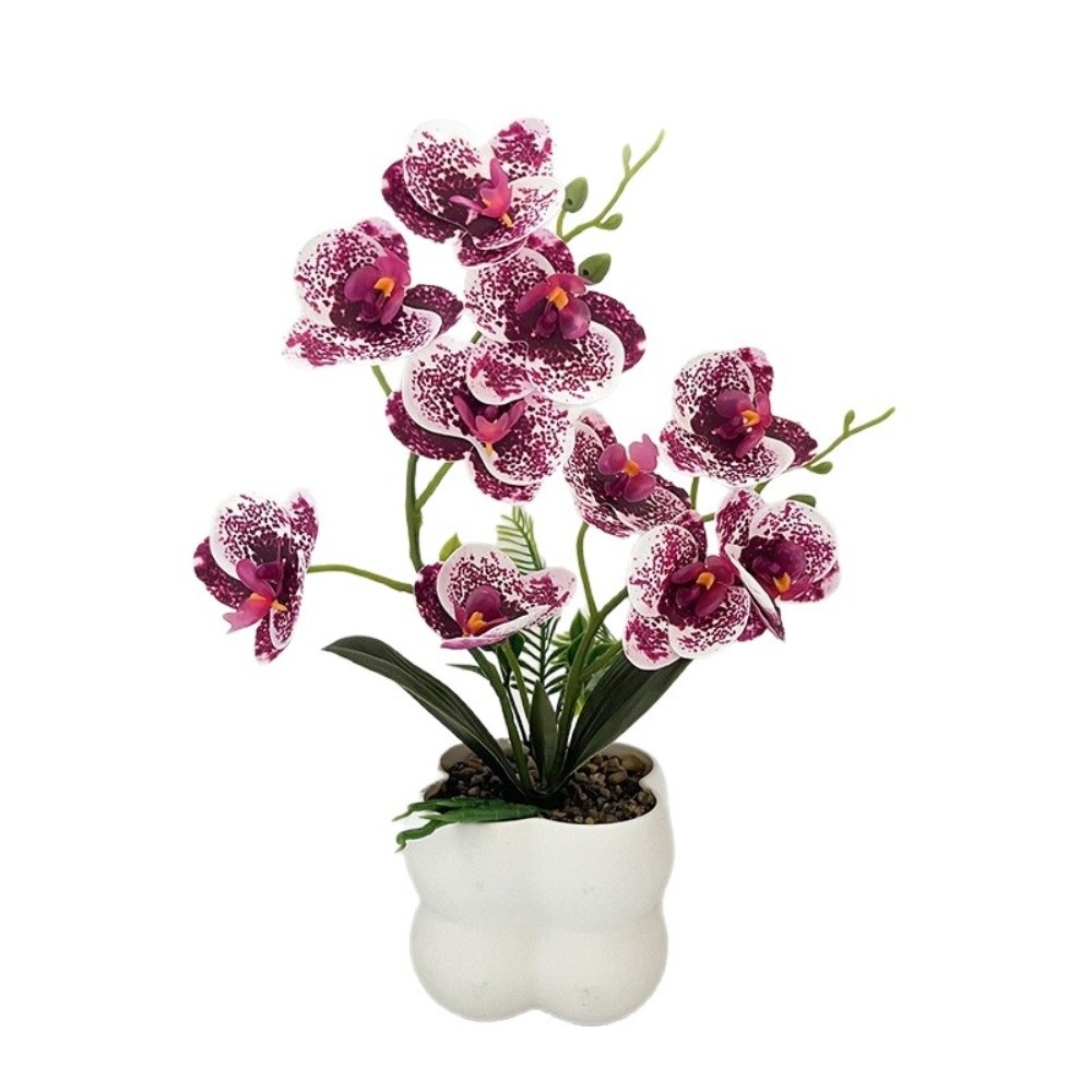 Multi-Bloom Simulated Butterfl – Orchid Potting Mix Bewertung und Preis