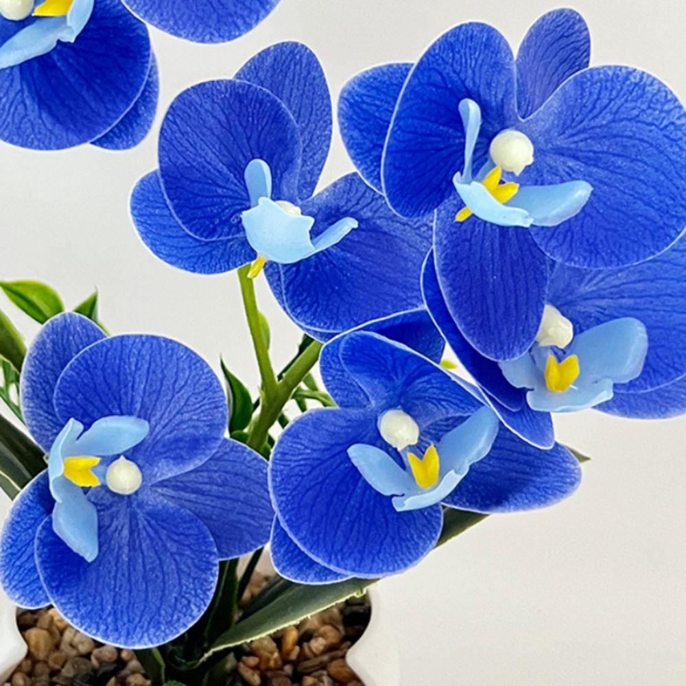 Multi-Bloom Simulated Butterfl – Orchid Potting Mix Bewertung und Preis