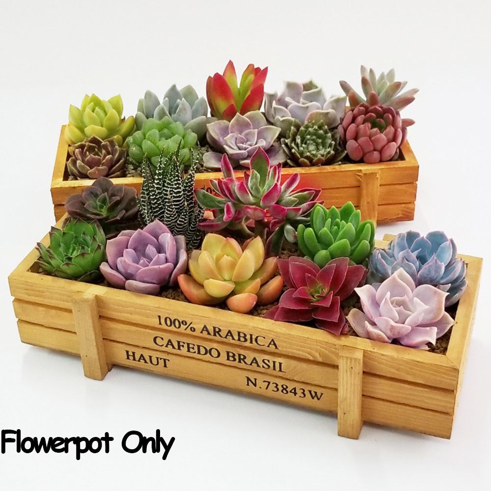 1 PC Tools Garden Decor Trough – Gardening Tools Organiser Bewertung und Preis
