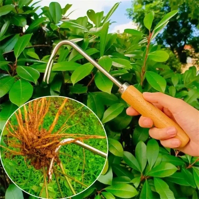 Stainless Steel Gardening Weed – Gardening Tools To Remove Weeds Bewertung und Preis