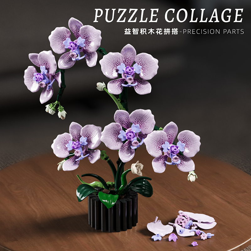 619PCS Phalaenopsis Building B – Orchid Potting Mix Bewertung und Preis