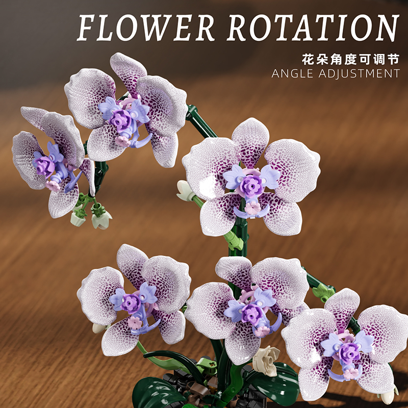619PCS Phalaenopsis Building B – Orchid Potting Mix Bewertung und Preis