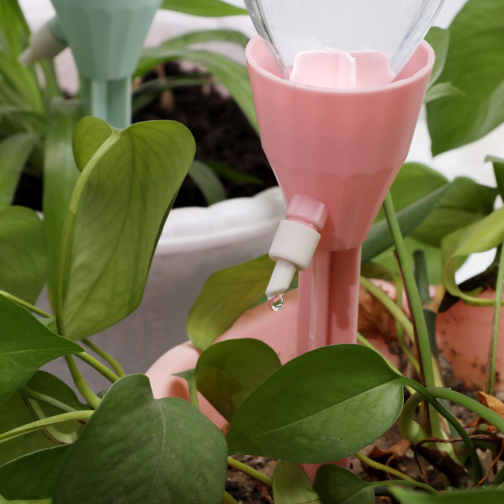 Auto Drippers Automatic Wateri – Gardening Tools Water Bewertung und Preis