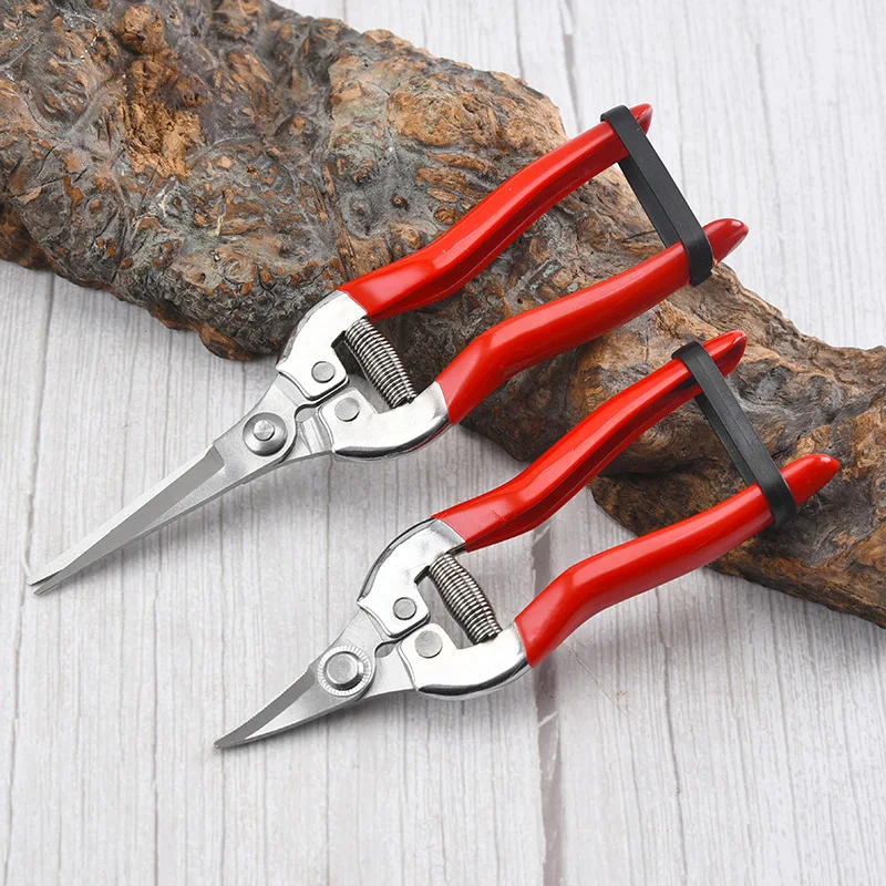 Stainless Steel Pruning Scisso – Gardening Tools For Women Bewertung und Preis