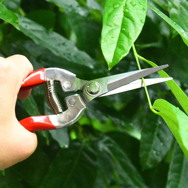 Stainless Steel Pruning Scisso – Gardening Tools For Women Bewertung und Preis