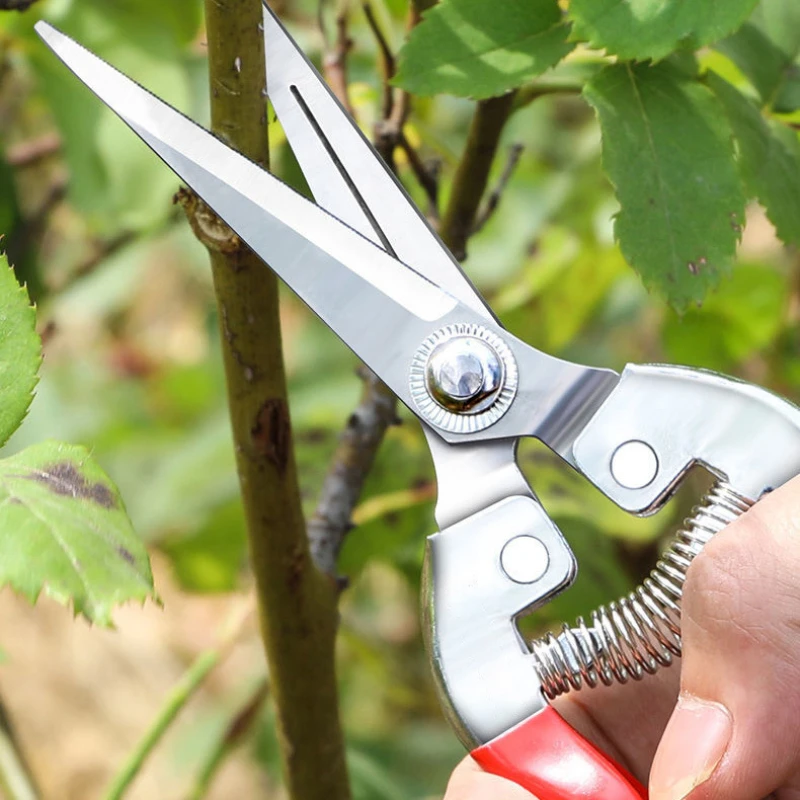 Stainless Steel Pruning Scisso – Gardening Tools For Women Bewertung und Preis
