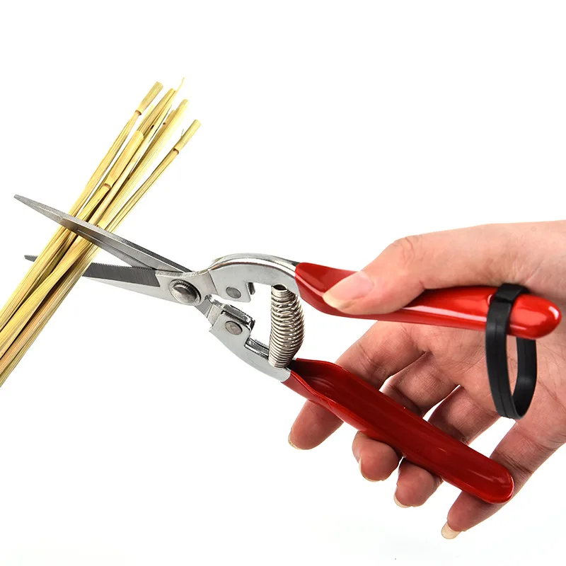 Stainless Steel Pruning Scisso – Gardening Tools For Women Bewertung und Preis
