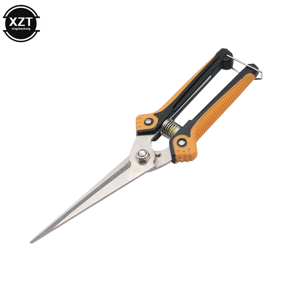 Pruning Scissors Professional  – Gardening Tools For Women Bewertung und Preis