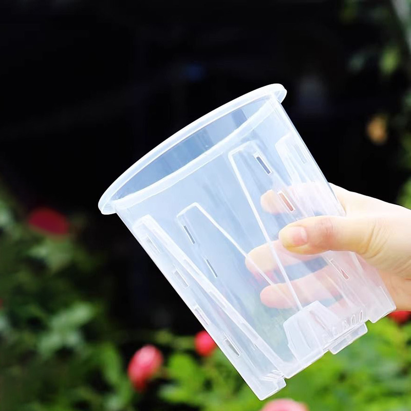12cm for orchid Plant grow  Po – Orchid Potting Mix Bewertung und Preis